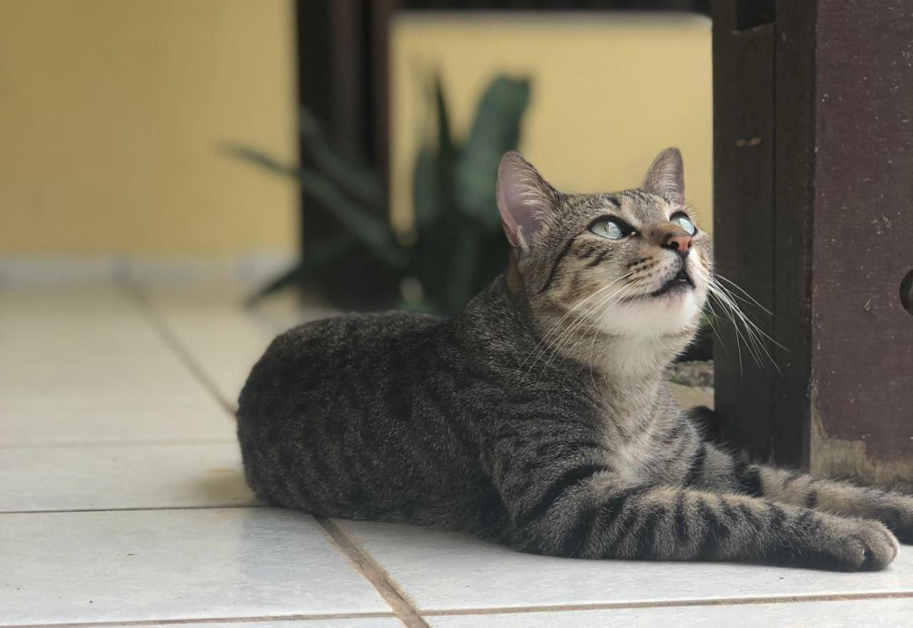 Pousada Casa Ikena ナタール エクステリア 写真